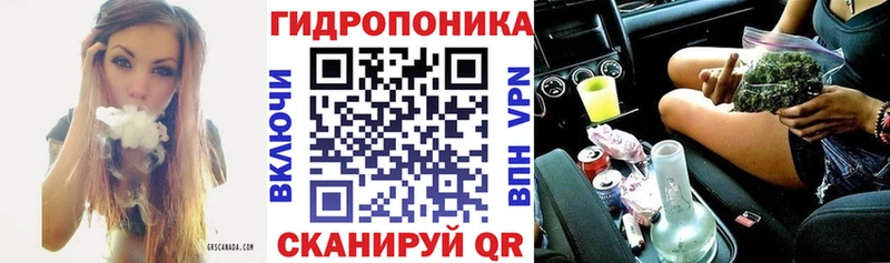 Марихуана план  Майкоп 